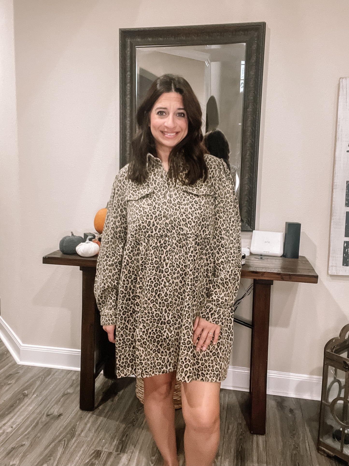 Denim Leopard Print Button Down Mini Dress